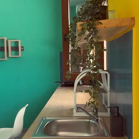 Under The Palm Tree Boutique