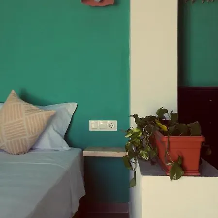 Under The Palm Tree Boutique Apartman *