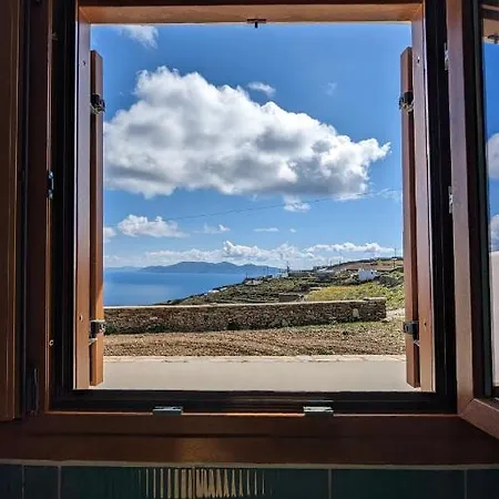 Under The Palm Tree Boutique Apartman