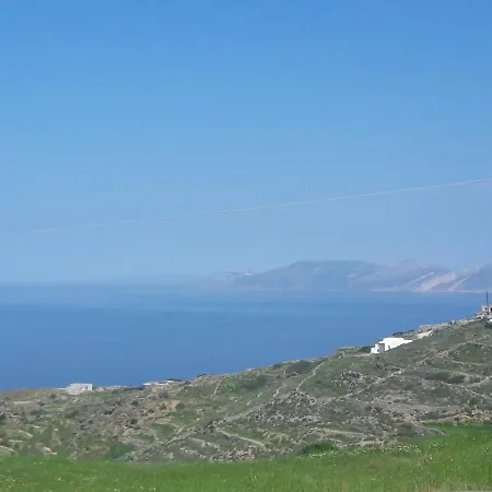 公寓 Under The Palm Tree Boutique *