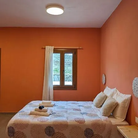 Under The Palm Tree Boutique *