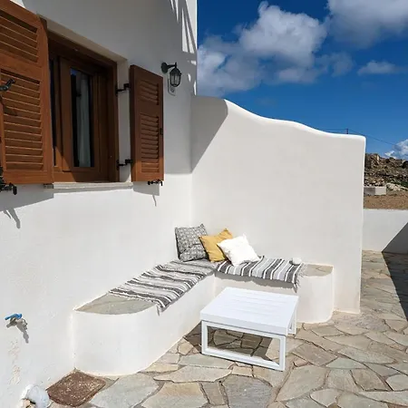 Under The Palm Tree Boutique