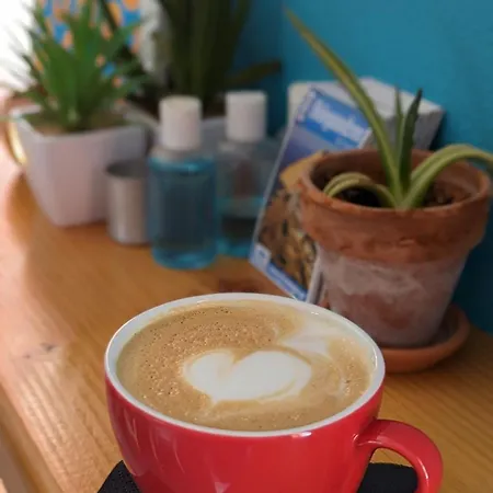 Appartamento Under The Palm Tree Boutique