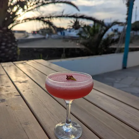 Under The Palm Tree - Boutique Experience