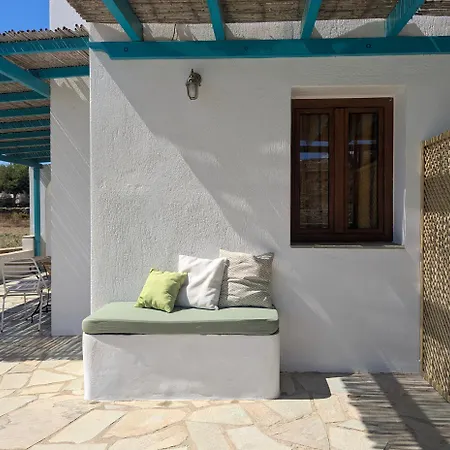 Apartament Under The Palm Tree - Boutique Experience *