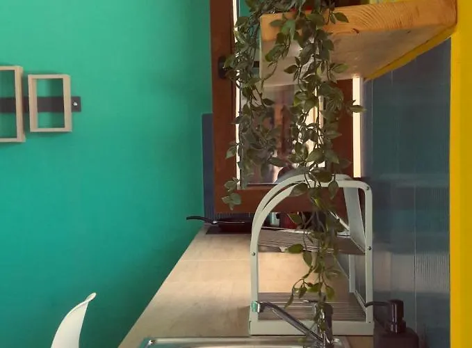 Under The Palm Tree Boutique