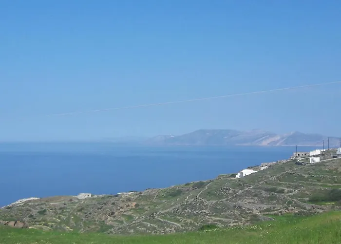 公寓 Under The Palm Tree Boutique *