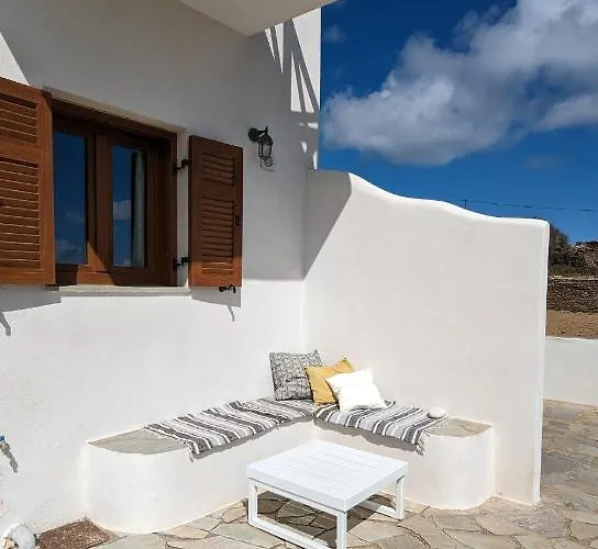 Under The Palm Tree Boutique