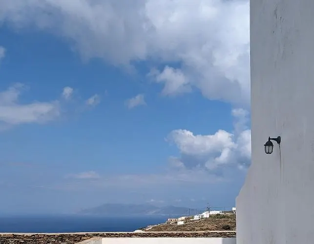 Under The Palm Tree Boutique