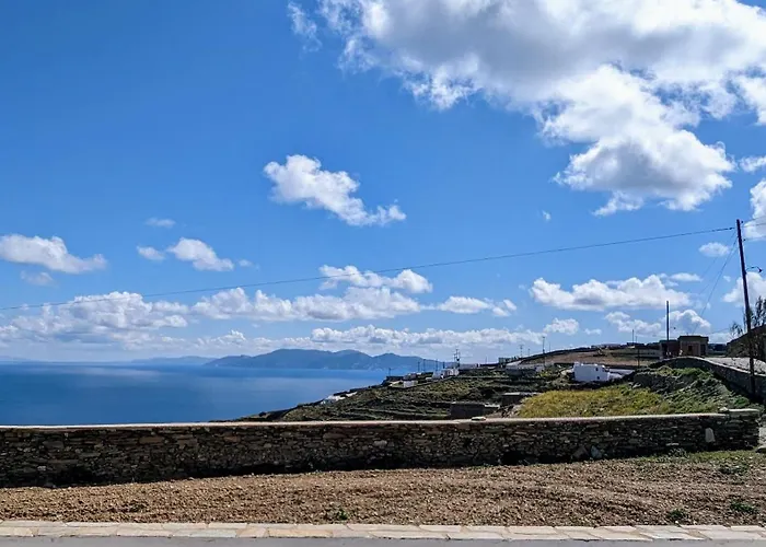 Apartment Under The Palm Tree Boutique *