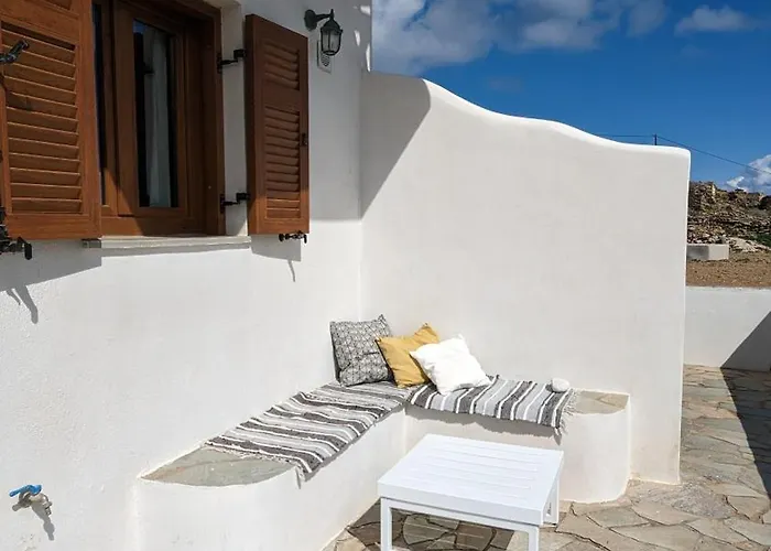 Under The Palm Tree Boutique