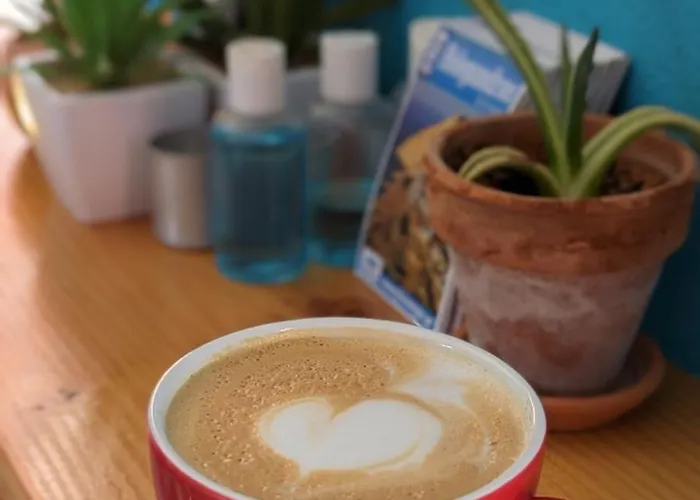 Daire Under The Palm Tree Boutique