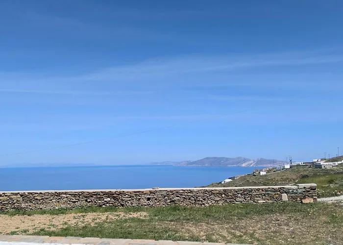 Apartment Under The Palm Tree Boutique *